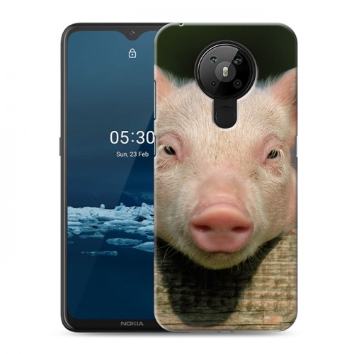 Дизайнерский пластиковый чехол для Nokia 5.3 Свинки