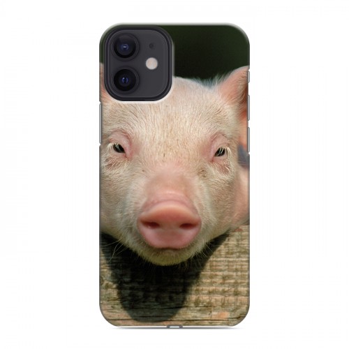 Дизайнерский силиконовый с усиленными углами чехол для Iphone 12 Mini Свинки