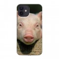 Дизайнерский силиконовый чехол для Iphone 12 Свинки