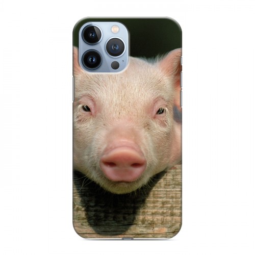 Дизайнерский силиконовый чехол для Iphone 13 Pro Max Свинки