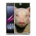 Дизайнерский пластиковый чехол для Sony Xperia Z Ultra  Свинки