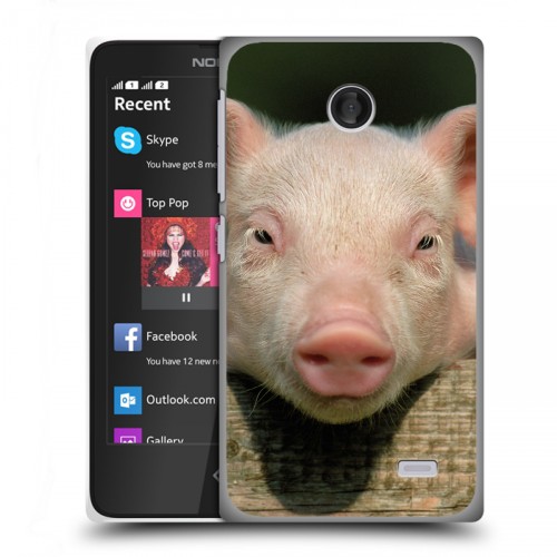 Дизайнерский пластиковый чехол для Nokia X Свинки