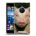 Дизайнерский пластиковый чехол для Nokia Lumia 830 Свинки