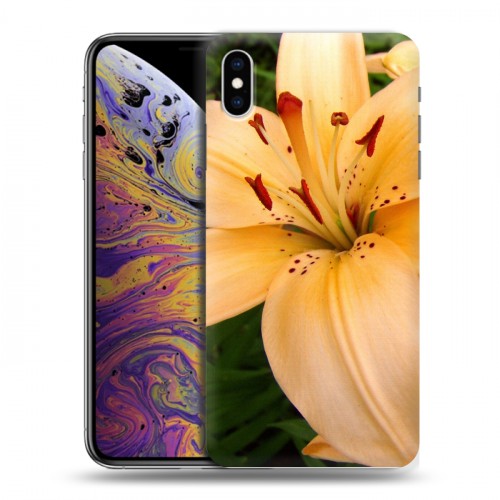 Дизайнерский силиконовый чехол для Iphone Xs Max Лилии