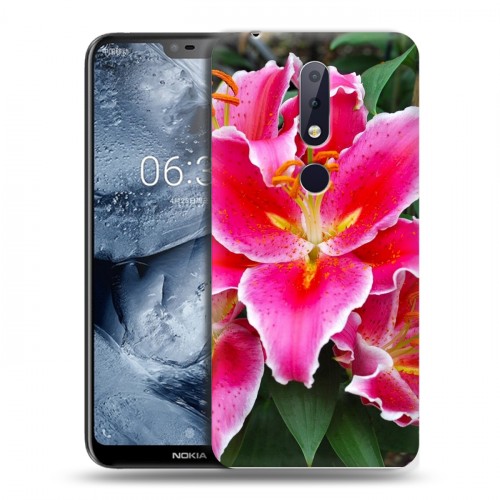 Дизайнерский пластиковый чехол для Nokia 6.1 Plus Лилии