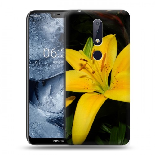 Дизайнерский пластиковый чехол для Nokia 6.1 Plus Лилии