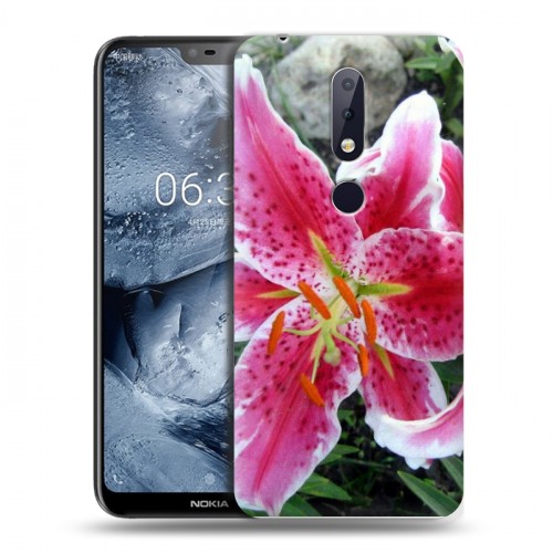 Дизайнерский пластиковый чехол для Nokia 6.1 Plus Лилии