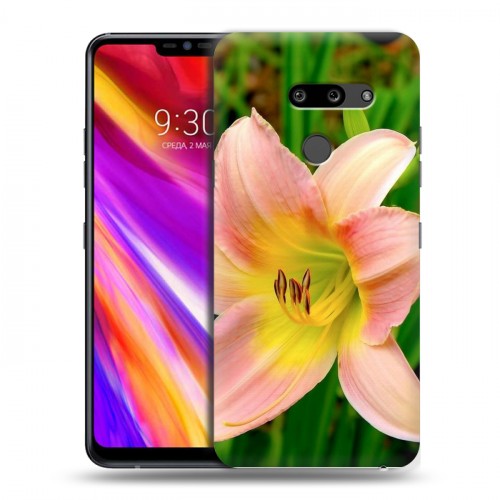 Дизайнерский пластиковый чехол для LG G8 ThinQ Лилии