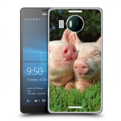 Дизайнерский пластиковый чехол для Microsoft Lumia 950 XL Свинки