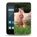 Дизайнерский силиконовый чехол для Alcatel One Touch Pixi 4 (4) Свинки