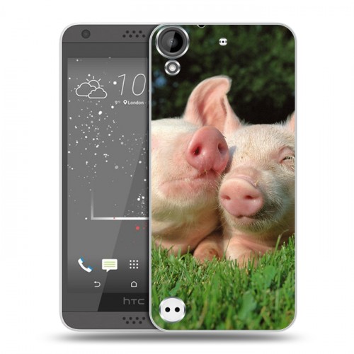 Дизайнерский пластиковый чехол для HTC Desire 530 Свинки