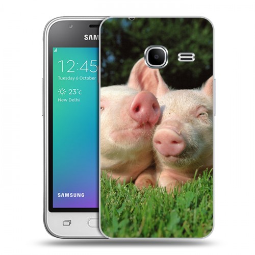 Дизайнерский силиконовый чехол для Samsung Galaxy J1 mini (2016) Свинки