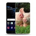 Дизайнерский пластиковый чехол для Huawei P10 Свинки