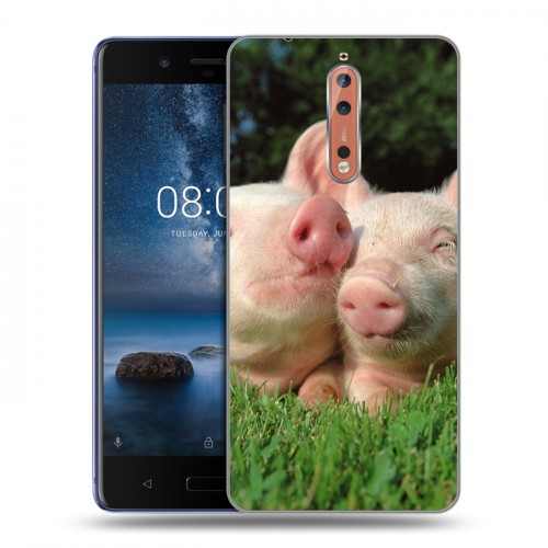 Дизайнерский пластиковый чехол для Nokia 8 Свинки