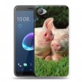 Дизайнерский пластиковый чехол для HTC Desire 12 Свинки