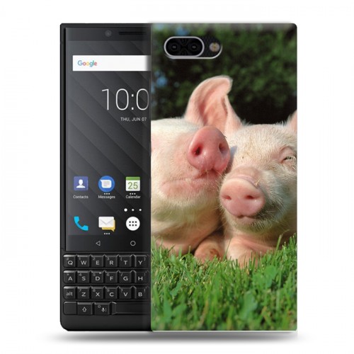 Дизайнерский пластиковый чехол для BlackBerry KEY2 Свинки