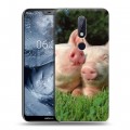 Дизайнерский пластиковый чехол для Nokia 6.1 Plus Свинки