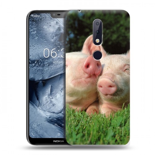 Дизайнерский пластиковый чехол для Nokia 6.1 Plus Свинки