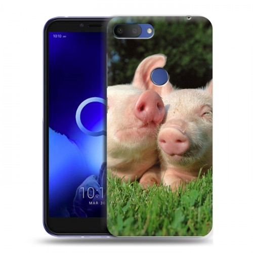 Дизайнерский пластиковый чехол для Alcatel 1S (2019) Свинки