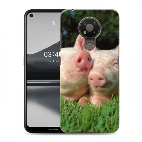 Дизайнерский силиконовый чехол для Nokia 3.4 Свинки