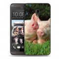 Дизайнерский пластиковый чехол для HTC Desire 700 Свинки