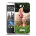 Дизайнерский силиконовый чехол для HTC Desire 616 Свинки
