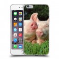 Дизайнерский силиконовый чехол для Iphone 6 Plus/6s Plus Свинки