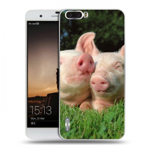 Дизайнерский пластиковый чехол для Huawei Honor 6 Plus Свинки