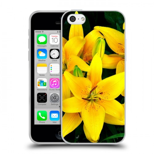 Дизайнерский пластиковый чехол для Iphone 5c Лилии