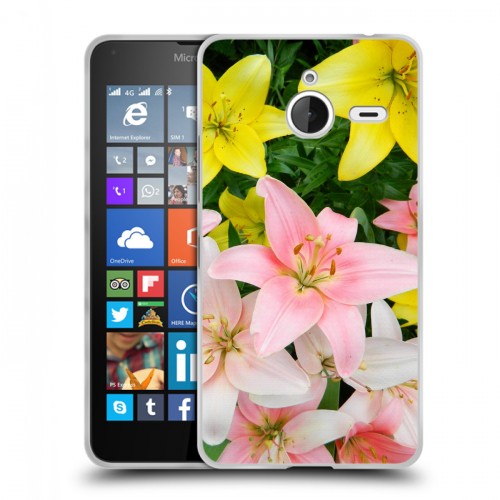 Дизайнерский пластиковый чехол для Microsoft Lumia 640 XL Лилии