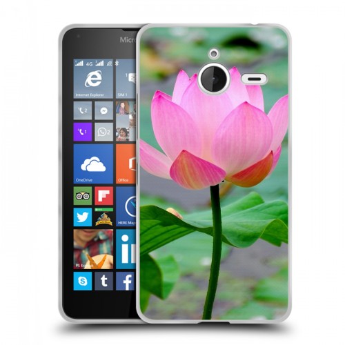 Дизайнерский пластиковый чехол для Microsoft Lumia 640 XL Лотос