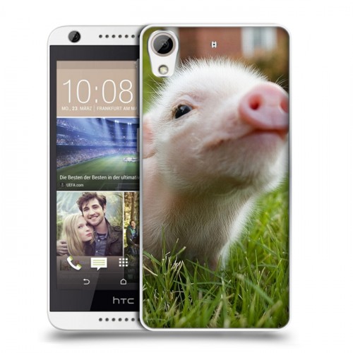 Дизайнерский пластиковый чехол для HTC Desire 626 Свинки