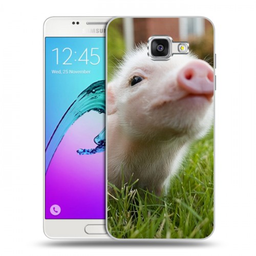 Дизайнерский силиконовый чехол для Samsung Galaxy A5 (2016) Свинки