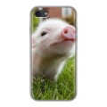 Дизайнерский силиконовый чехол для Iphone 7 Свинки