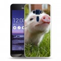 Дизайнерский пластиковый чехол для Asus ZenFone 3 5.2 Свинки