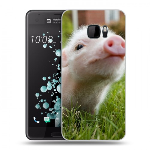 Дизайнерский пластиковый чехол для HTC U Ultra Свинки