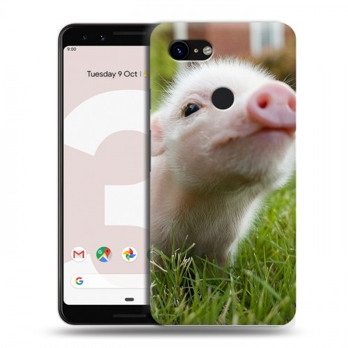 Дизайнерский пластиковый чехол для Google Pixel 3 Свинки
