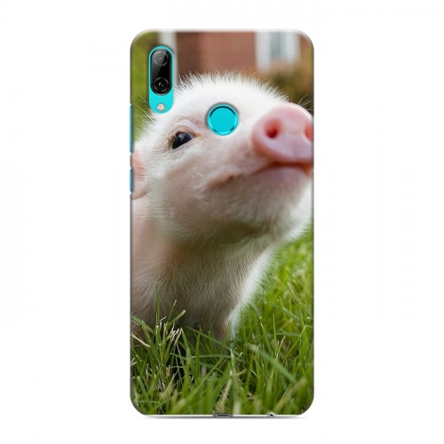 Дизайнерский пластиковый чехол для Huawei P Smart (2019) Свинки