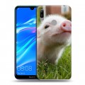 Дизайнерский пластиковый чехол для Huawei Y6 (2019) Свинки