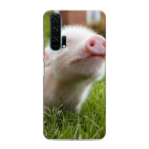 Дизайнерский силиконовый чехол для Huawei Honor 20 Pro Свинки