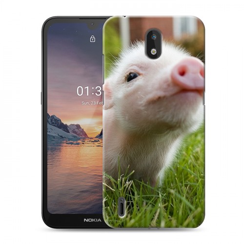 Дизайнерский силиконовый чехол для Nokia 1.3 Свинки