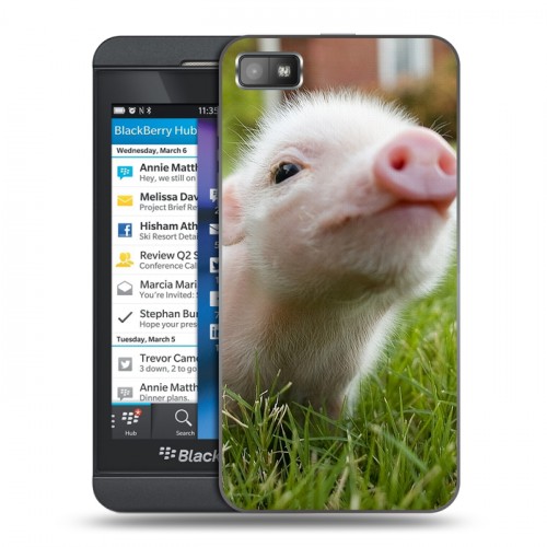 Дизайнерский пластиковый чехол для BlackBerry Z10 Свинки