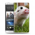 Дизайнерский пластиковый чехол для HTC One (M7) Dual SIM Свинки