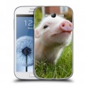 Дизайнерский пластиковый чехол для Samsung Galaxy Grand Свинки