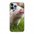 Дизайнерский силиконовый чехол для Iphone 13 Pro Max Свинки