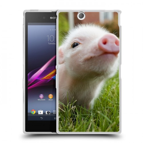 Дизайнерский пластиковый чехол для Sony Xperia Z Ultra  Свинки