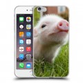 Дизайнерский силиконовый чехол для Iphone 6 Plus/6s Plus Свинки