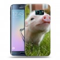 Дизайнерский пластиковый чехол для Samsung Galaxy S6 Edge Свинки