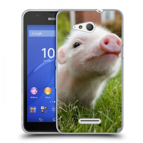 Дизайнерский пластиковый чехол для Sony Xperia E4g Свинки