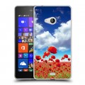 Дизайнерский пластиковый чехол для Microsoft Lumia 540 Мак